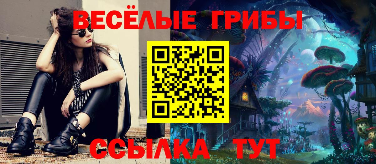 Большой Камень  Галлюциногенные грибы Psilocybe  Вход с VPN 